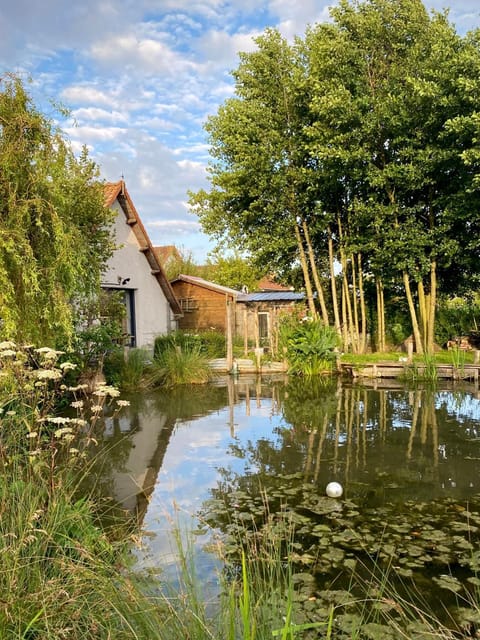Property building, Natural landscape