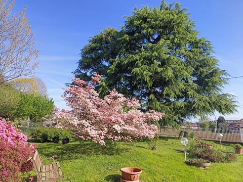 Property building, Spring, Garden view