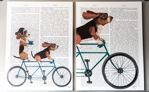 Acogedor y moderno departamento en la Condesa Inn in Mexico City