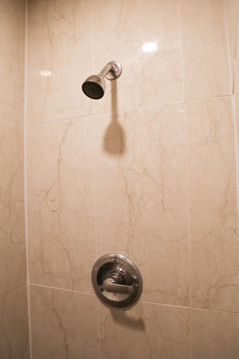 Shower, Bathroom, Internal: Not applicable to any particular room