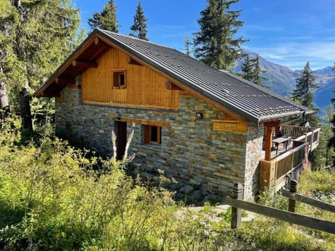Chalet spacieux à La Rosière avec hammam et jacuzzi pour 15 personnes - FR-1-690-25 Chalet in Montvalezan