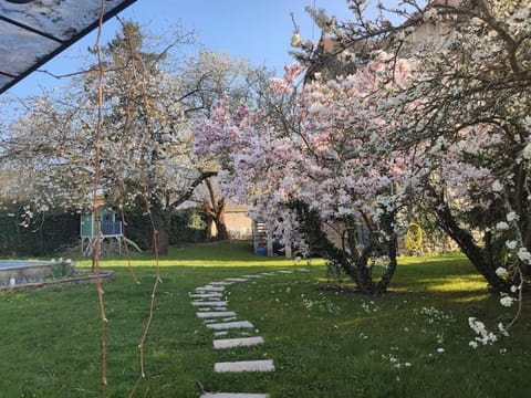 Spring, Day, Natural landscape, Garden, Garden view