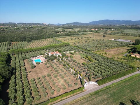 Bird's eye view, Garden view, Pool view