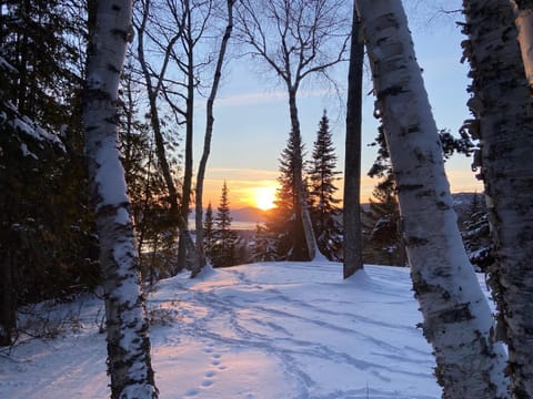 Natural landscape, Winter, Sunset