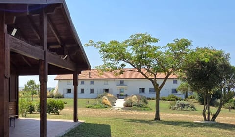 Property building, Garden view