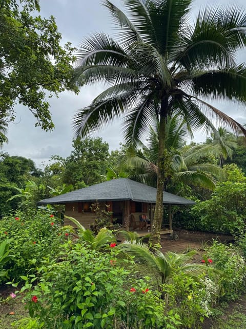Property building, Day, Natural landscape, Garden