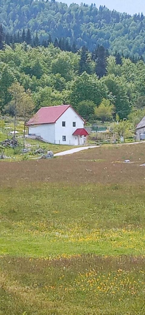 Property building, Spring, Day, Natural landscape, Mountain view