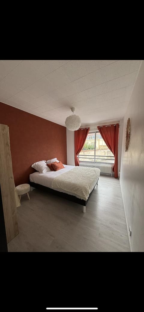 Grand appartement Roanne centre Apartment in Auvergne-Rhône-Alpes