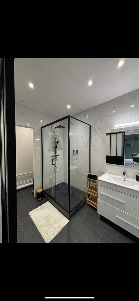 Grand appartement Roanne centre Apartment in Auvergne-Rhône-Alpes