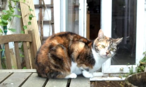 Jim's Place Vacation rental in Dublin