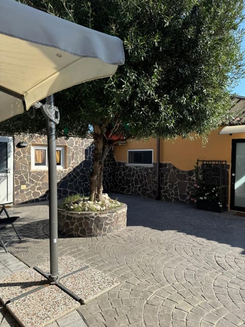 Domus Adele Apartment in Lazio