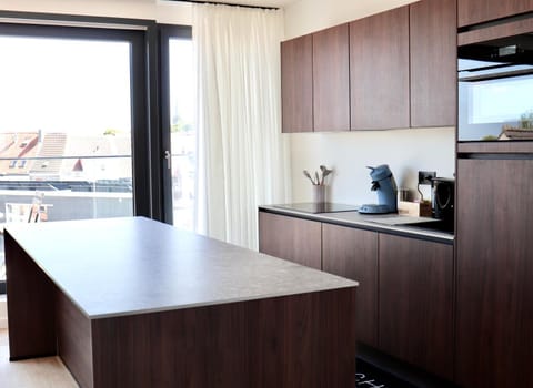 Coffee/tea facilities, Kitchen or kitchenette, oven, kitchen, kitchen