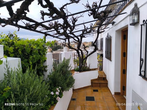 Facade/entrance, Garden