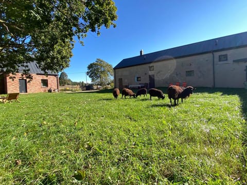 Property building, Inner courtyard view