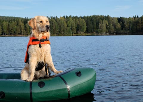 The Cedar House Prime Spot Kayaks & Cool AC House in Shaver Lake