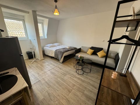 "les roses" Centre ville, stationnement gratuit et proche tram Apartment in Mulhouse