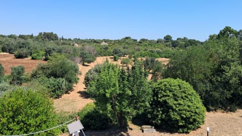 Trulli Camaris House in Province of Taranto