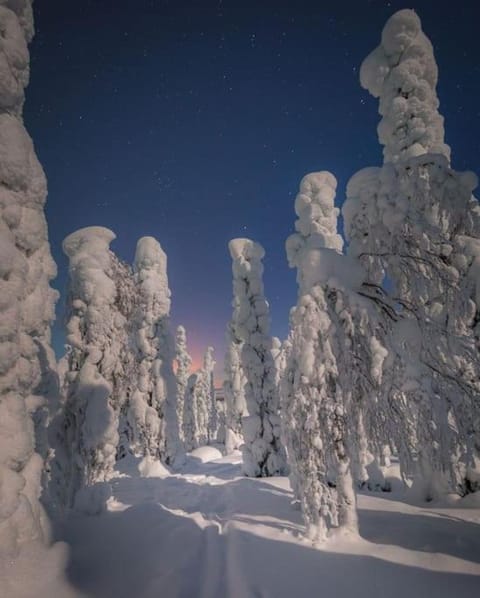 Villa Golden Hill Ylläs, Luxury holiday cabin in Lapland Cabin in Lapland