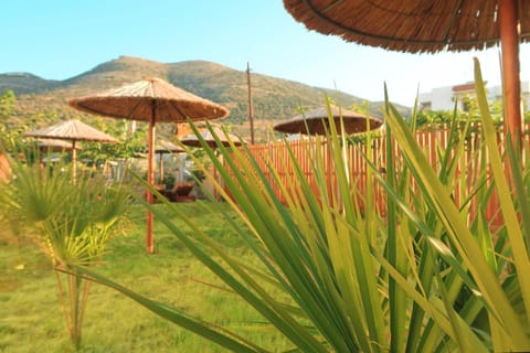 Ivory Luxury Apartments Apartment hotel in Stalida