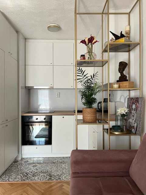 Kitchen or kitchenette, stove