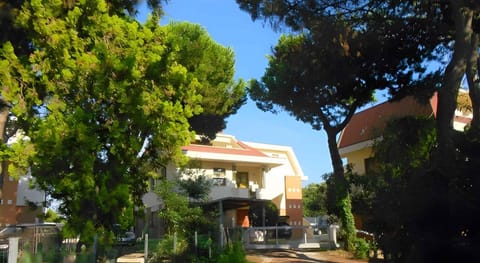 Property building, Summer