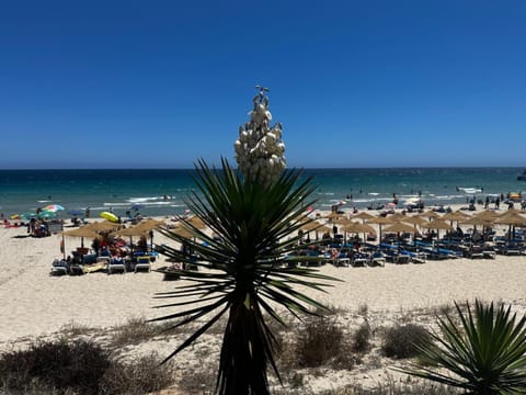 Nearby landmark, Beach