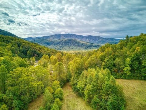 Serenity Cottage, Pickleball Court, Creek, WIFI, Mountain Views, Starting at 79" House in Jenkins Mill