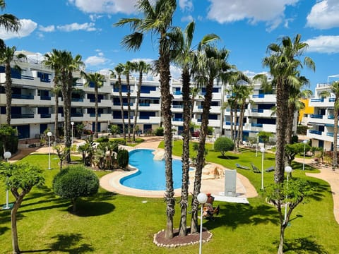 Natural landscape, Garden, Garden view, Pool view, Swimming pool, sunbed