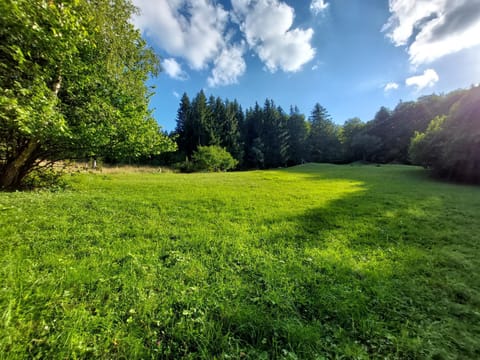 Natural landscape