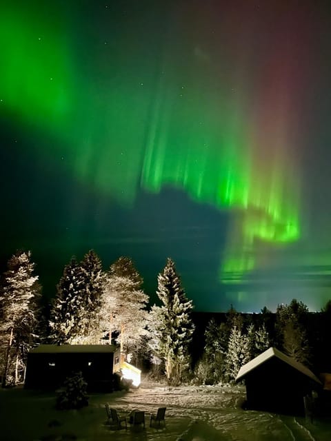 The Saunacabin Enchanted Lapland Cabin in Rovaniemi