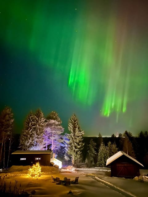 The Saunacabin Enchanted Lapland Cabin in Rovaniemi