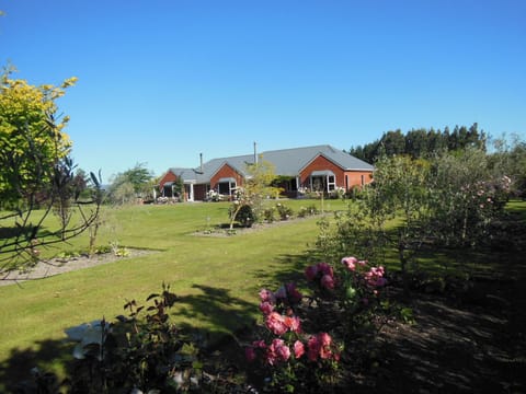 Summer, Decorative detail, Area and facilities