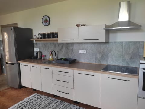 Kitchen or kitchenette, oven, stove