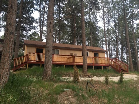 New cabin 1 car rental available Cabin in West Custer Township