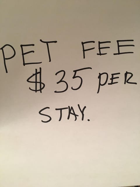 New cabin 1 car rental available Cabin in West Custer Township