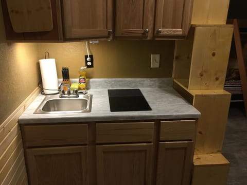 New cabin 1 car rental available Cabin in West Custer Township