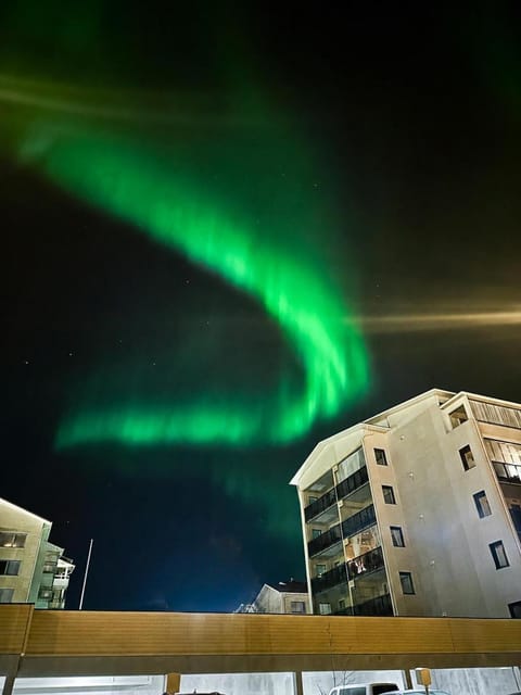 Property building, Night, Natural landscape, View (from property/room)