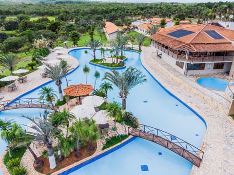 Bird's eye view, Garden, Swimming pool