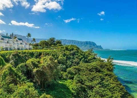 Puu Poa 407 condo Apartment in Princeville