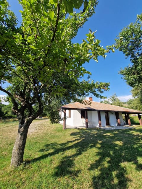 Property building, Natural landscape, Garden, Garden view