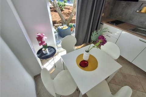 Studio apartman Albina Apartment in Šibenik-Knin County, Croatia