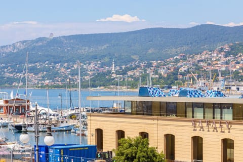 Apartments Trieste Centro I Le Rive 9 Apartment in Trieste