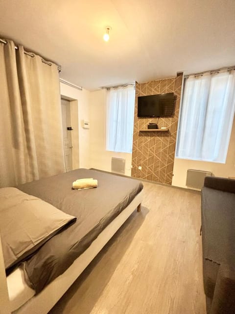 appart' de la ville Apartment in Saint-Étienne