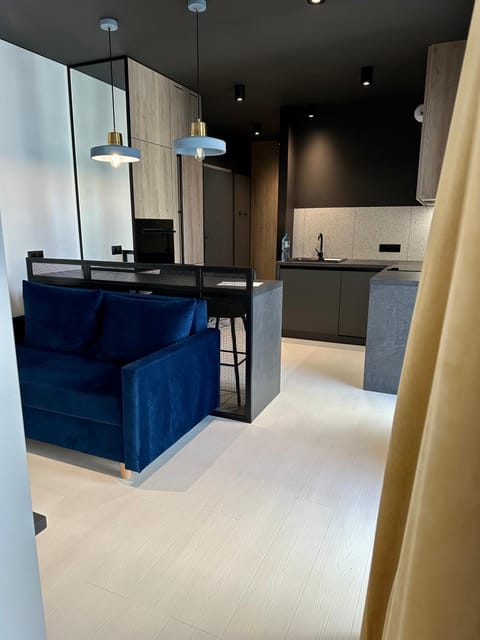 Kitchen or kitchenette, Living room, Seating area