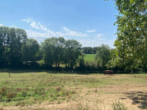 Garden, Garden view