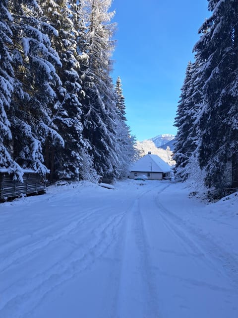 MountainSpring Apartment in Friuli-Venezia Giulia