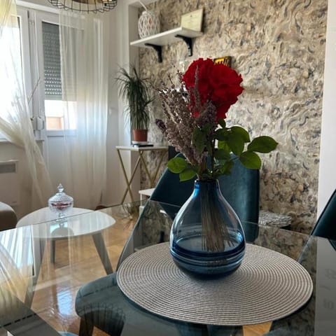 Stan na dan zen Bijeljina Apartment in Vojvodina