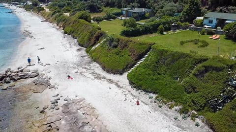 Spring, Day, People, Natural landscape, Bird's eye view, Beach, Sea view