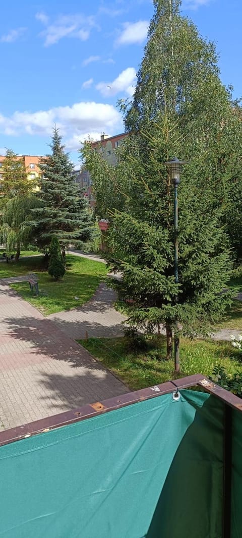 Kawalerka Gryf Apartment in Pomeranian Voivodeship