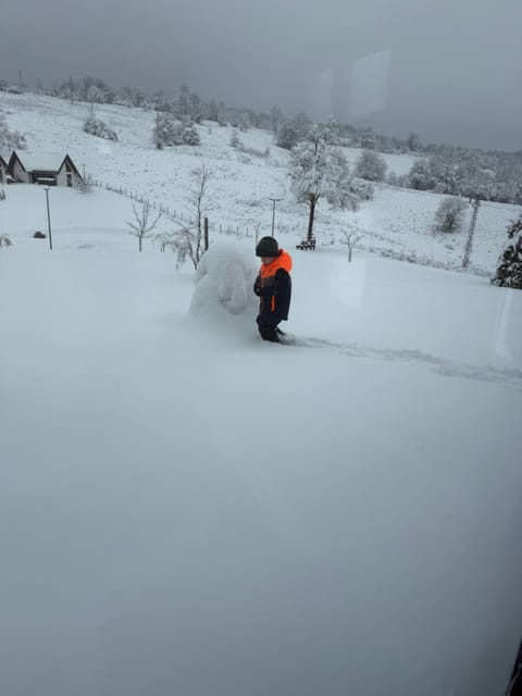 Plitvice Nature Resort Chalet in Plitvice Lakes Park